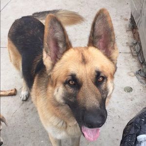 Meet your Posher, Melissa